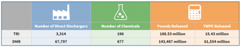 Example of the Summary Table on the TRI DMR Dashboard 